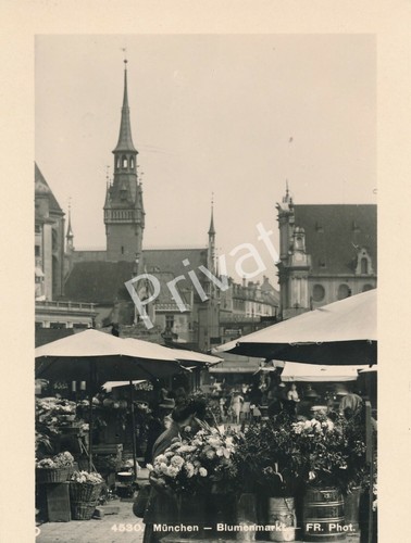 Original foto ansicht - original,