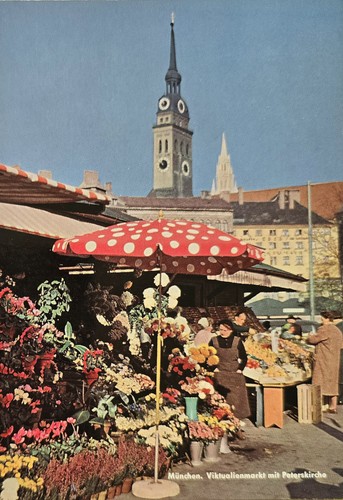 München viktualienmarkt - ak,